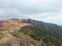 화왕산 꽃잔치 - 희망여행스케치 - 성남 희망산악회 화왕산 꽃잔치