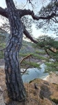 12/9 구봉대산-법흥사.요선정 - 여행/산행(국내/해외) 사진 - 도보여행(섬&산) 좋은사람들--버스매일출발 12/9 구봉대산-법흥사.요선정