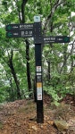 8-28 (토) 금수산.가은산 - 여행/산행(국내/해외) 사진 - 도보여행(섬&산) 좋은사람들--버스매일출발 8-28 (토) 금수산.가은산