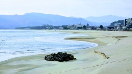 02.04(수) 해파랑길 35코스 - 희망여행스케치 - 성남 희망산악회 02.04(수) 해파랑길 35코스