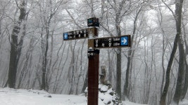 ＜명산100+＞ 고성 연화산 - 100명산 플러스 - 도보여행(섬&산) 좋은사람들--버스매일출발 도보여행(섬&산) 좋은사람들--버스매일출발