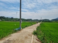 남파랑52 율촌파출소 소라초교 - 여행/산행(국내/해외) 사진 - 도보여행(섬&산) 좋은사람들--버스매일출발 남파랑52 율촌파출소 소라초교