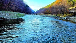 언양 화장산 역사문화대장정3곳/씨엘블루 대장님 - 여행/산행(국내... 좋은사람들--버스매일출발 언양 화장산 역사문화대장정3곳/씨엘블루 대장님