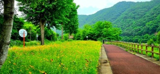 평화의길22코스 - 여행/산행(국내/해외) 사진 - 도보여행(섬&산) 좋은사람들--버스매일출발 평화의길22코스