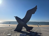 2025.12.08(월), 서해랑길6-33(60코스 대천해변-깊은골버스정류장) *역방향 진행 - 여행/산행(국내/해외) 사진 - 도보여행(섬&산) 좋은사람들... 