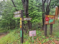 2025.10.13(월), 서해랑길6-29(54코스+55코스 외당마을버스정류장-장항도선장입구) - 여행/산행(국내/해외) 사진 - 도보여행(섬&산)... 