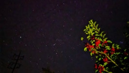 11/22 주작산+두륜산 - 희망여행스케치 - 성남 희망산악회 11/22 주작산+두륜산