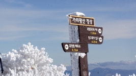 가리왕산 - 100 명산 - 도보여행(섬&산) 좋은사람들--버스매일출발 가리왕산