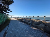 2025.12.08(월), 서해랑길6-33(60코스 대천해변-깊은골버스정류장) *역방향 진행 - 여행/산행(국내/해외) 사진 - 도보여행(섬&산) 좋은사람들... 