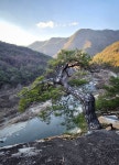 12/9 구봉대산-법흥사.요선정 - 여행/산행(국내/해외) 사진 - 도보여행(섬&산) 좋은사람들--버스매일출발 12/9 구봉대산-법흥사.요선정