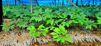 평화의길22코스 - 여행/산행(국내/해외) 사진 - 도보여행(섬&산) 좋은사람들--버스매일출발 평화의길22코스