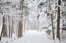 내변산(변산) - 100 명산 - 도보여행(섬&산) 좋은사람들--버스매일출발 내변산(변산)