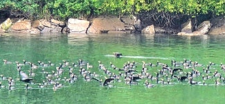 평화의길22코스 - 여행/산행(국내/해외) 사진 - 도보여행(섬&산) 좋은사람들--버스매일출발 평화의길22코스