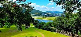 유구색동수국정원+마곡사 솔바람길(33관음성지)+공산성 - 여행/산행... 좋은사람들--버스매일출발 유구색동수국정원+마곡사 솔바람길... 