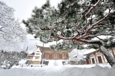 내변산(변산) - 100 명산 - 도보여행(섬&산) 좋은사람들--버스매일출발 내변산(변산)
