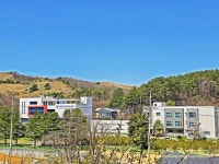 4/26 대관령 국민의숲 야생화길(아름다운 우리길 100선) - 여행/산행... 버스매일출발 4/26 대관령 국민의숲 야생화길(아름다운 우리길 100선)
