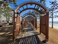 2025.12.08(월), 서해랑길6-33(60코스 대천해변-깊은골버스정류장) *역방향 진행 - 여행/산행(국내/해외) 사진 - 도보여행(섬&산) 좋은사람들... 