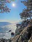 1/11 영덕블루로드(노물항-축산항, 아름다운 우리길 100선) - 여행/산행(국내/해외) 사진 - 도보여행(섬&산) 좋은사람들--버스매일출발 1/11... 