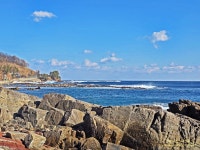 1/11 영덕블루로드(노물항-축산항, 아름다운 우리길 100선) - 여행/산행(국내/해외) 사진 - 도보여행(섬&산) 좋은사람들--버스매일출발 1/11... 