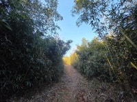 2026.02.09(월.무박), 남파랑길7-22(43코스+44코스 가천다랭이마을... 02.09(월.무박), 남파랑길7-22(43코스+44코스 가천다랭이마을-서상항)