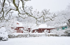 내변산(변산) - 100 명산 - 도보여행(섬&산) 좋은사람들--버스매일출발 내변산(변산)