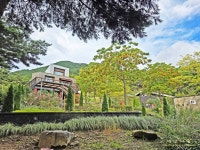 10/16(목) 수목원투어(광주시립수목원, 구례수목원, 지리산정원) - 여행/산행(국내/해외) 사진 - 도보여행(섬&산) 좋은사람들--버스매일출발 10/16... 