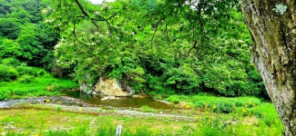 평화의길22코스 - 여행/산행(국내/해외) 사진 - 도보여행(섬&산) 좋은사람들--버스매일출발 평화의길22코스