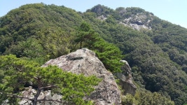 2021. 8. 26. 순창 용궐산+체계산 - 여행/산행(국내/해외) 사진 - 도보여행(섬&산) 좋은사람들--버스매일출발 2021. 8. 26. 순창 용궐산+체계산