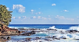 1/11 영덕블루로드(노물항-축산항, 아름다운 우리길 100선) - 여행/산행(국내/해외) 사진 - 도보여행(섬&산) 좋은사람들--버스매일출발 1/11... 