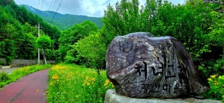 평화의길22코스 - 여행/산행(국내/해외) 사진 - 도보여행(섬&산) 좋은사람들--버스매일출발 평화의길22코스