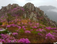 제238차 강진 덕룡 주작산 정기산행 계획 - ◆오뚜기+정기산행계획◆ - 시흥.안산 오뚜기산악회 제238차 강진 덕룡 주작산 정기산행 계획