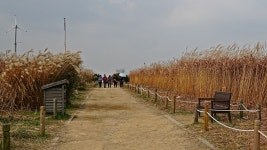 하늘공원 - ―······가보고싶은곳 - 천주교 녹번동 성당 하늘공원