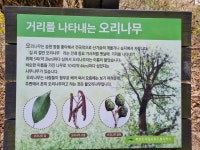 산길에서 만난 안내 (5) - 버킷리스트/서울둘레길 - 사단법인 도봉시민회 1차-2023.03.25(토) 8-5,6코스. 산길에서 만난 안내 (5)
