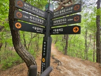 3차 4월 22일 둘레길 8-3 명상길 (형제봉-＞솔샘길) - 버킷리스트/서울둘레길 - 사단법인 도봉시민회 3차 4월 22일 둘레길 8-3 명상길 (형제봉... 