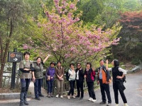 3차 4월 22일 둘레길 8-3, 4 코스 걸었습니다. - 버킷리스트/서울둘레길 - 사단법인 도봉시민회 3차 4월 22일 둘레길 8-3, 4 코스 걸었습니다.