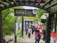 버킷리스트/서울둘레길 - 사단법인 도봉시민회 답글3차 4월 22일 둘레길 8-3 흰구름길 (솔샘길-＞구름전망대-＞솔밭공원)