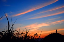 백도 녹산등대 가는 길 - 무심재클럽 여행 - 여행, 바람처럼 흐르다... 3월 27-29일 쪽빛바다에 동백꽃 떨어지는 거문도 백도 녹산등대 가는 길