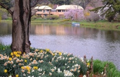 4월13일 서산목장 벚꽃길, 안면암 벚꽃 동산, 천리포 수목원 목련축제... 서산목장 벚꽃길, 안면암 벚꽃 동산, 천리포 수목원 목련축제, 골성지... 