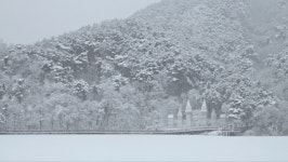 1월 10일 순백의 세상을 꿈꾸며 떠나는 제천 의림지 비룡담 정선 만항재 눈꽃여행 - 무심재클럽 여행 - 여행, 바람처럼 흐르다 1월 10일 순백의... 