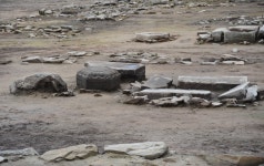 12월 2일 가을과 이별하는 곳, 이천 산수유와 비내섬 억새, 남한강... 12월 2일 가을과 이별하는 곳, 이천 산수유와 비내섬 억새, 남한강 폐사지(추가)