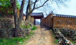 3월 17일 선비의 뜨락에서 피는 매화기행, 성주 한개마을과 회연서원 백매원 - 무심재클럽 여행 - 여행, 바람처럼 흐르다 3월 17일 선비의... 