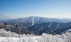1월 10일 순백의 세상을 꿈꾸며 떠나는 제천 의림지 비룡담 정선 만항재 눈꽃여행 - 무심재클럽 여행 - 여행, 바람처럼 흐르다 1월 10일 순백의... 
