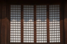 12월 2일 가을과 이별하는 곳, 이천 산수유와 비내섬 억새, 남한강... 12월 2일 가을과 이별하는 곳, 이천 산수유와 비내섬 억새, 남한강 폐사지(추가)