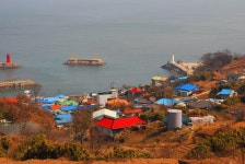 3월 10일 서해바다 외딴 섬 야생화 천국 풍도 바람꽃을 찾아서 2차... 흐르다 3월 10일 서해바다 외딴 섬 야생화 천국 풍도 바람꽃을 찾아서 2차