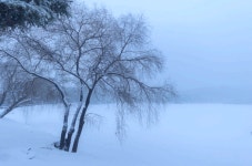 1월 10일 순백의 세상을 꿈꾸며 떠나는 제천 의림지 비룡담 정선 만항재 눈꽃여행 - 무심재클럽 여행 - 여행, 바람처럼 흐르다 1월 10일 순백의... 