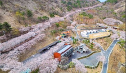흐르는 벚꽃로드 - 내 마음의 여로, 그곳 - 여행, 바람처럼 흐르다 4월 2-3일 진양호, 진주 남강, 남해바다에서, 섬진강으로 흐르는 벚꽃로드
