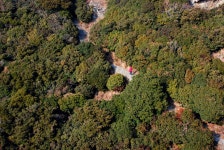 백도 녹산등대 가는 길 - 무심재클럽 여행 - 여행, 바람처럼 흐르다... 3월 27-29일 쪽빛바다에 동백꽃 떨어지는 거문도 백도 녹산등대 가는 길