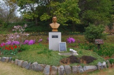 4월13일 서산목장 벚꽃길, 안면암 벚꽃 동산, 천리포 수목원 목련축제... 서산목장 벚꽃길, 안면암 벚꽃 동산, 천리포 수목원 목련축제, 골성지... 