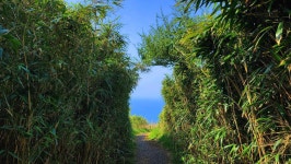 4월 11-14일 유채꽃과 청보리 그 황홀한 봄날의 제주, 섬속의 섬여행... 흐르다 4월 11-14일 유채꽃과 청보리 그 황홀한 봄날의 제주, 섬속의 섬여행