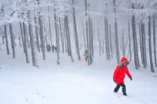 1월 10일 순백의 세상을 꿈꾸며 떠나는 제천 의림지 비룡담 정선 만항재 눈꽃여행 - 무심재클럽 여행 - 여행, 바람처럼 흐르다 1월 10일 순백의... 